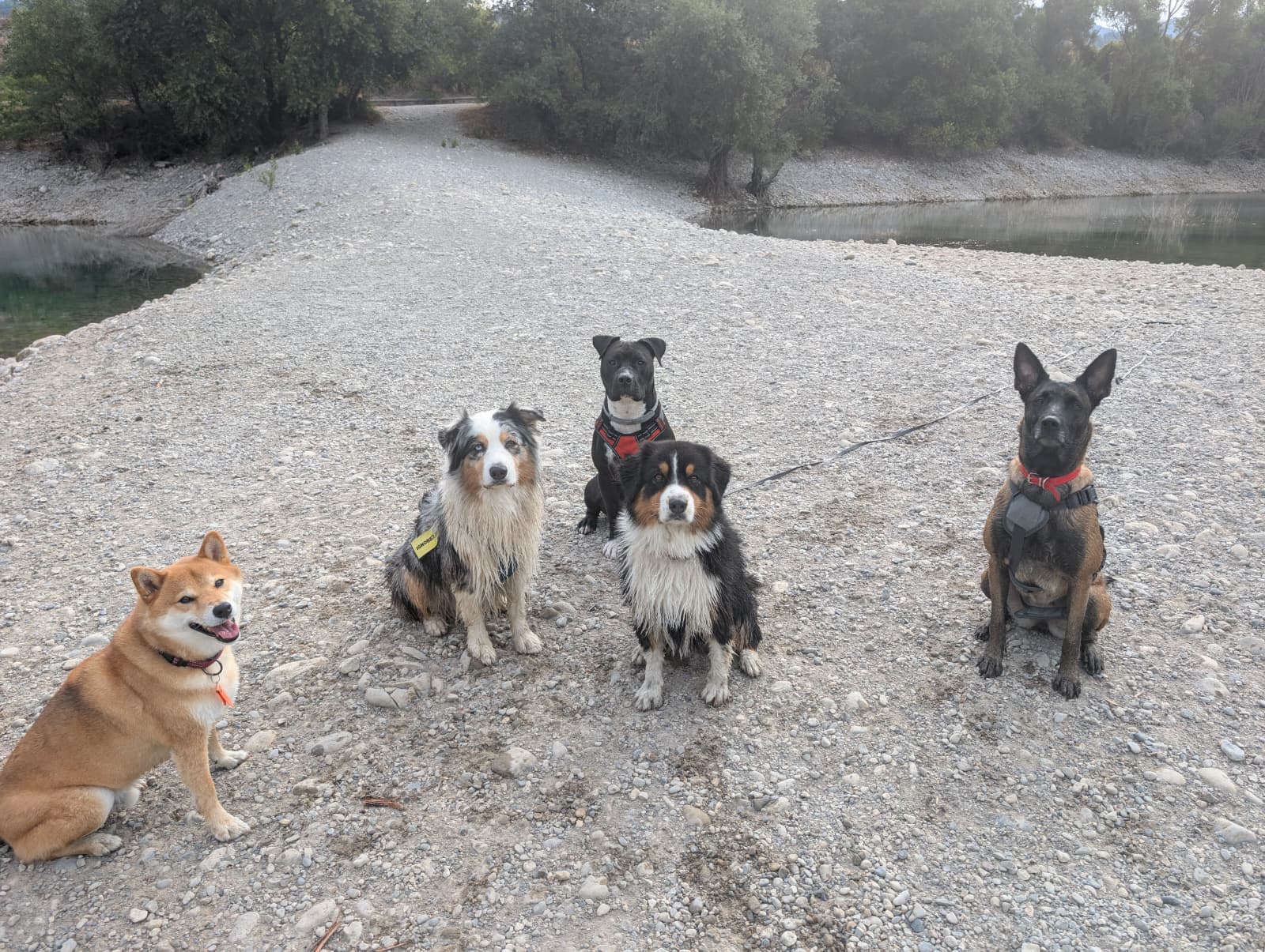 WhatsApp Image 2025-09-18 at 21.36.21(1)