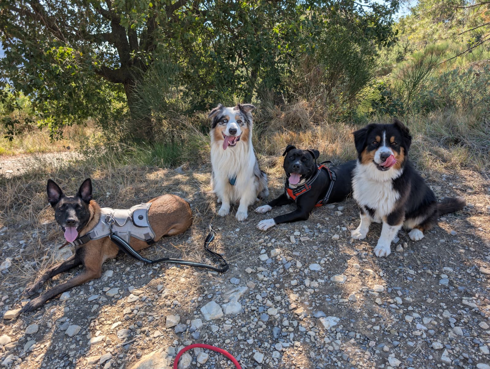 WhatsApp Image 2025-09-18 at 21.36.21(3)