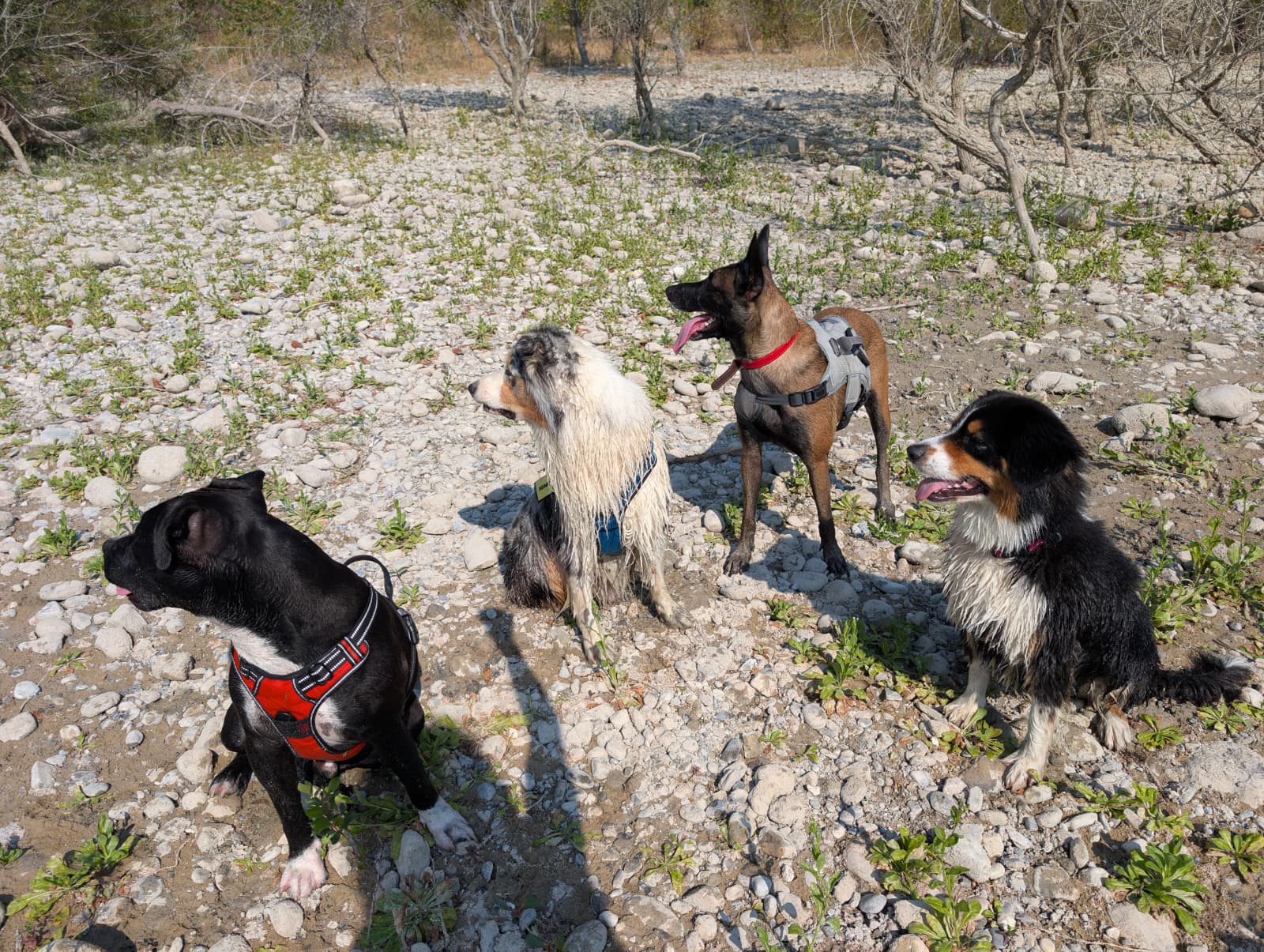 WhatsApp Image 2025-09-18 at 21.36.23